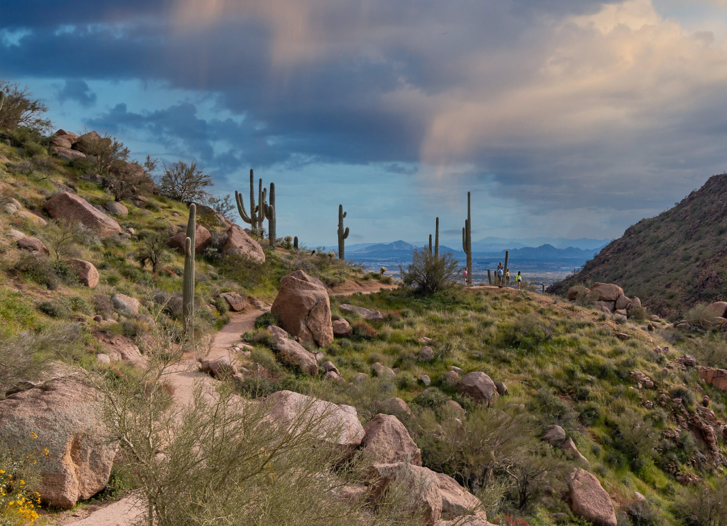 Hiking the Trails Near Scottsdale in Winter